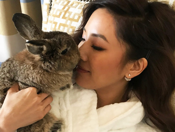 Constance Wu's bunny Lida Rose