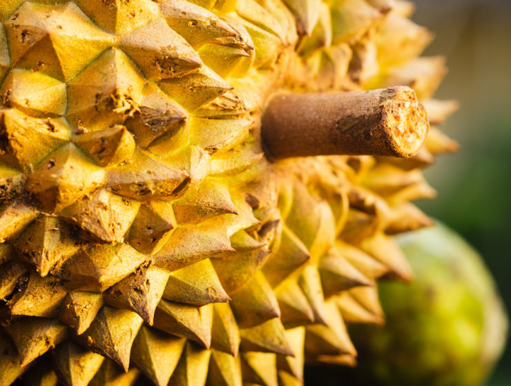 Durian
